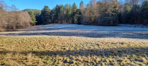 Rothenberg-Weg (Premiumwanderweg)