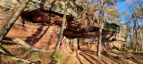Rothenberg-Weg (Premiumwanderweg)