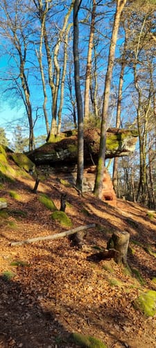 Rothenberg-Weg (Premiumwanderweg)
