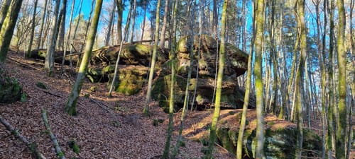 Rothenberg-Weg (Premiumwanderweg)