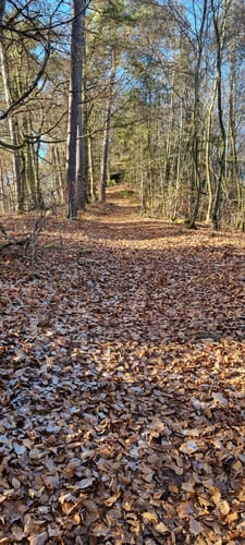 Rothenberg-Weg (Premiumwanderweg)