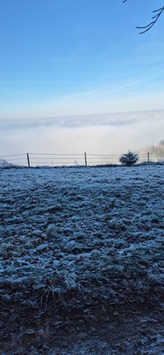 Kandel-Höhenweg Etappe 5: St. Peter - Freiburg