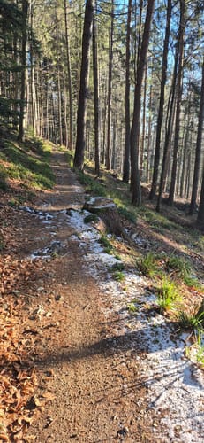 Kandel-Höhenweg Etappe 5: St. Peter - Freiburg