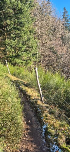Kandel-Höhenweg Etappe 5: St. Peter - Freiburg