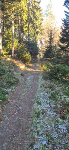 Kandel-Höhenweg Etappe 5: St. Peter - Freiburg