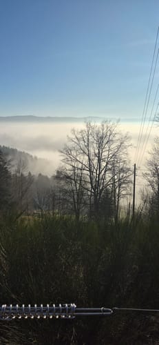 Kandel-Höhenweg Etappe 5: St. Peter - Freiburg