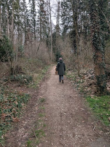 Geisenheimer Rundweg D: Elsterbachweg