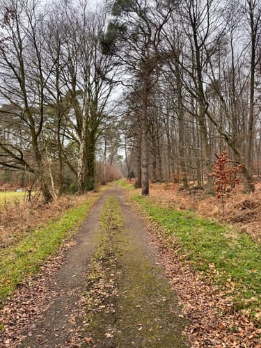 Zum Fuchsbau: Wanderweg A1