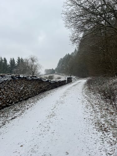 Prümtalweg (NaturWanderPark)