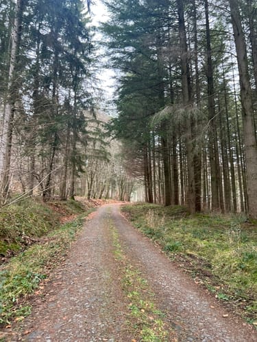 Prümtalweg (NaturWanderPark)