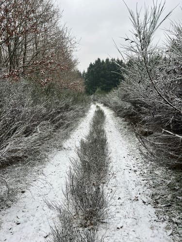 Prümtalweg (NaturWanderPark)