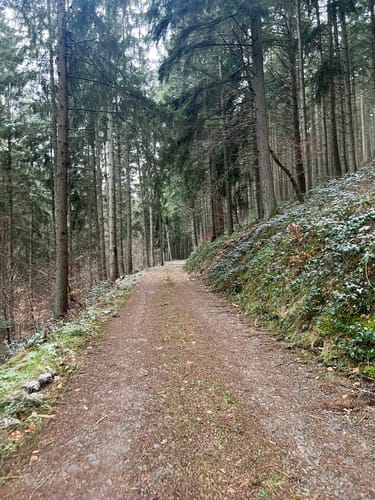Prümtalweg (NaturWanderPark)