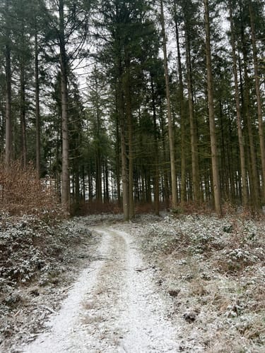Prümtalweg (NaturWanderPark)