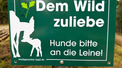 Birkenbrauck Rundweg A4