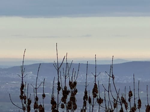 HOCHGEHBERGE I "hochgehkeltert" (Premiumwanderweg)