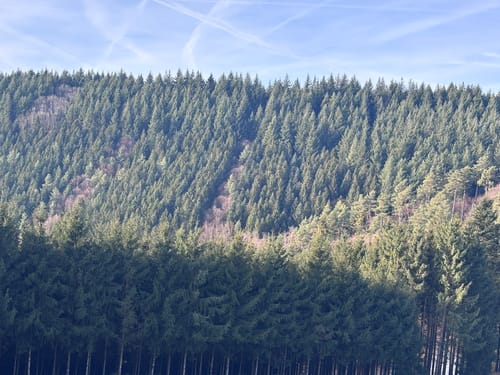 Aussichtsweg: Kleine Runde über Weissmoos