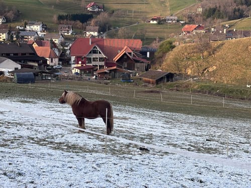 Aussichtsweg: Kleine Runde über Weissmoos