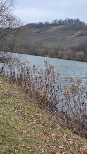 Rund um die "Ayler Kupp"