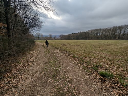 Geisenheimer Rundweg D: Elsterbachweg