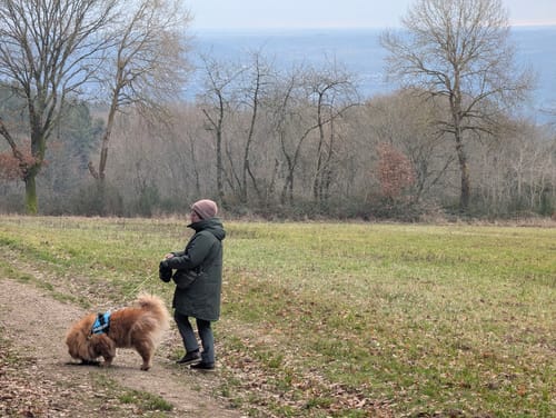 Geisenheimer Rundweg D: Elsterbachweg