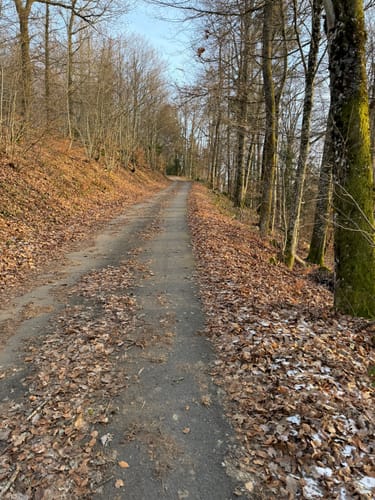Rümmelesbühl ab Gresgen