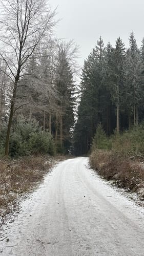 Kameralwald-Weg