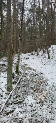 Rund um den Leuchtenberg