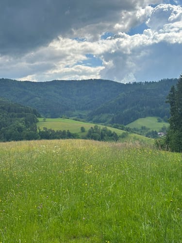 Glottertal - Luser - Am Kranzkopf