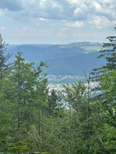 Glottertal - Luser - Am Kranzkopf