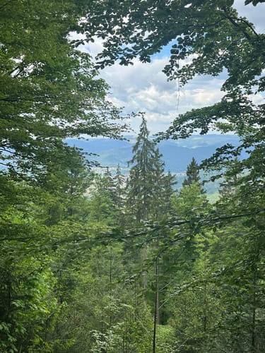 Glottertal - Luser - Am Kranzkopf