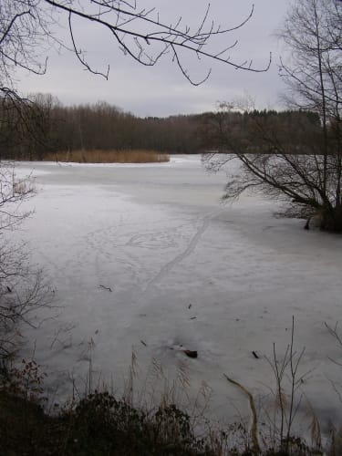 Rund um die Tongrube Kolbermoor