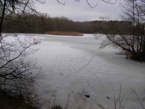 Rund um die Tongrube Kolbermoor