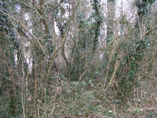 Rund um die Tongrube Kolbermoor