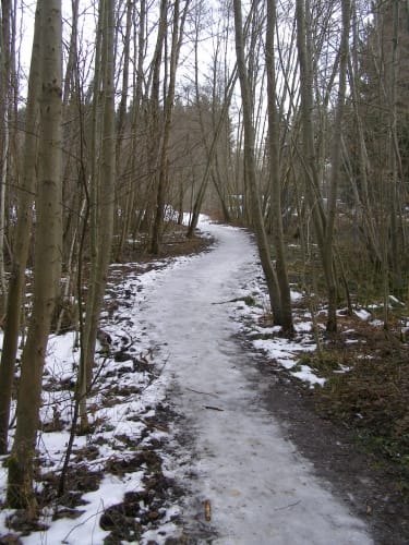 Rund um die Tongrube Kolbermoor