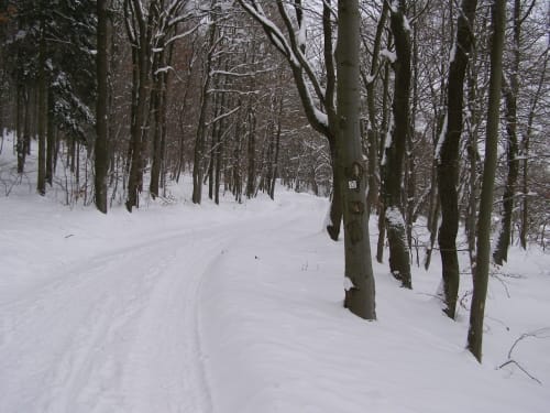 Osterode - Thiergarten