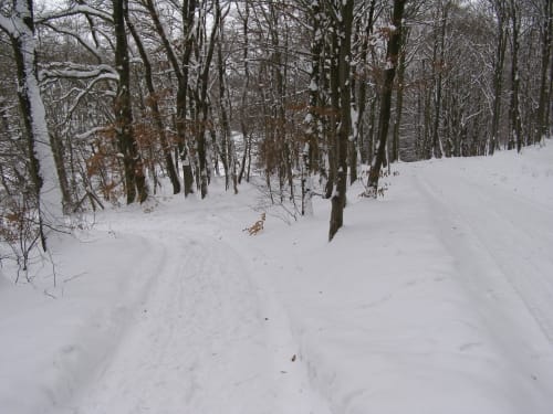 Osterode - Thiergarten