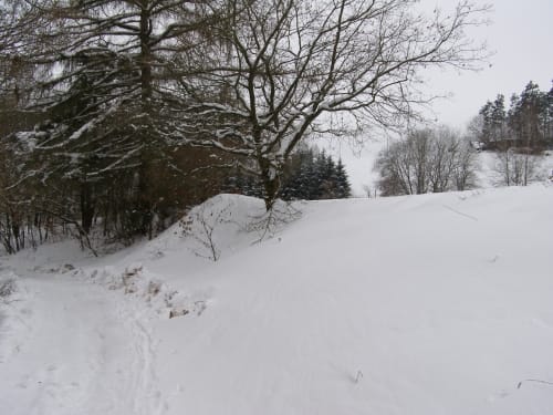 Osterode - Thiergarten