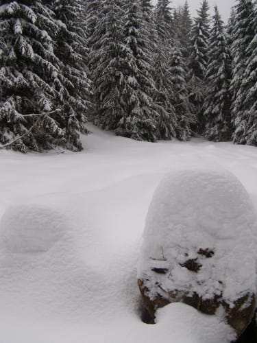 Von Neustadt/ Harz zur Neustädter Talsperre