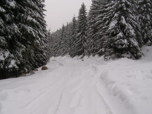 Von Neustadt/ Harz zur Neustädter Talsperre