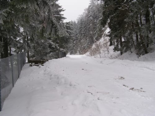 Von Neustadt/ Harz zur Neustädter Talsperre
