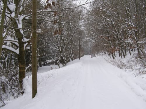 Von Neustadt/ Harz zur Neustädter Talsperre