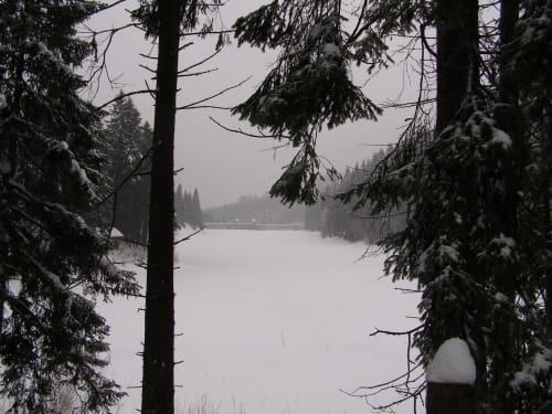 Von Neustadt/ Harz zur Neustädter Talsperre