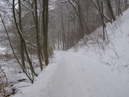Von Neustadt/ Harz zur Neustädter Talsperre