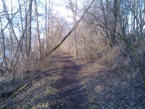 Um den Happinger See