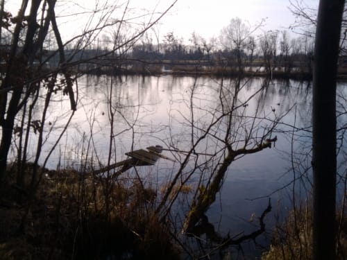 Um den Happinger See