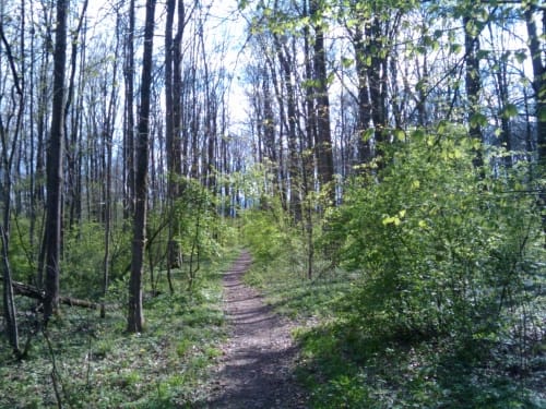 Rund um Oberwöhr