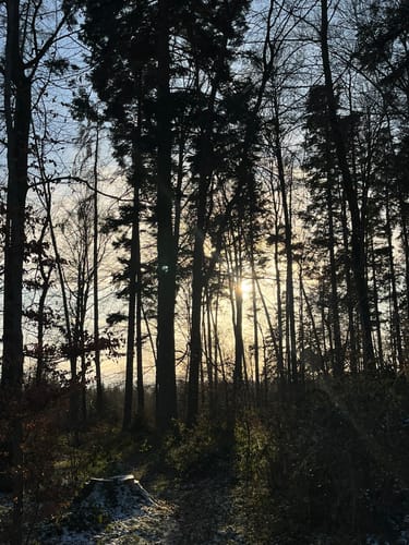Durch das Ebersbachtal