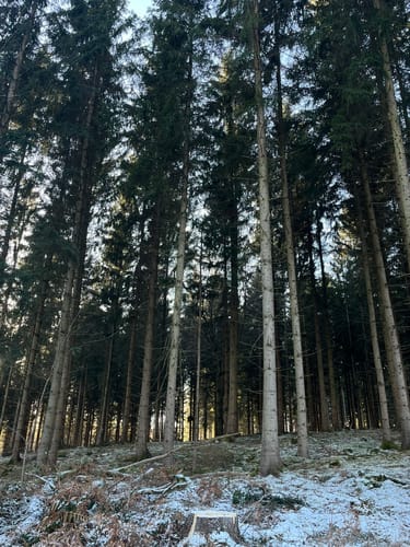 Durch das Ebersbachtal