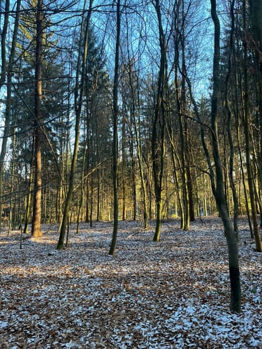 Durch das Ebersbachtal