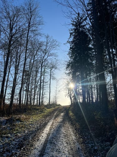 Durch das Ebersbachtal